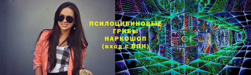 Псилоцибиновые грибы Psilocybine cubensis  где найти   гидра как войти  Волчанск 